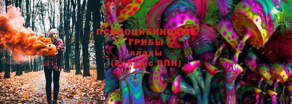 молекула духа Вязники